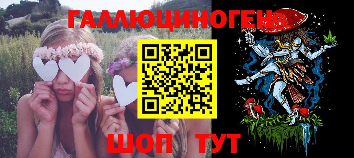 Галлюциногенные грибы Magic Shrooms  Вход с VPN  купить наркотики сайты  Галлюциногенные грибы GOLDEN TEACHER  Кингисепп 